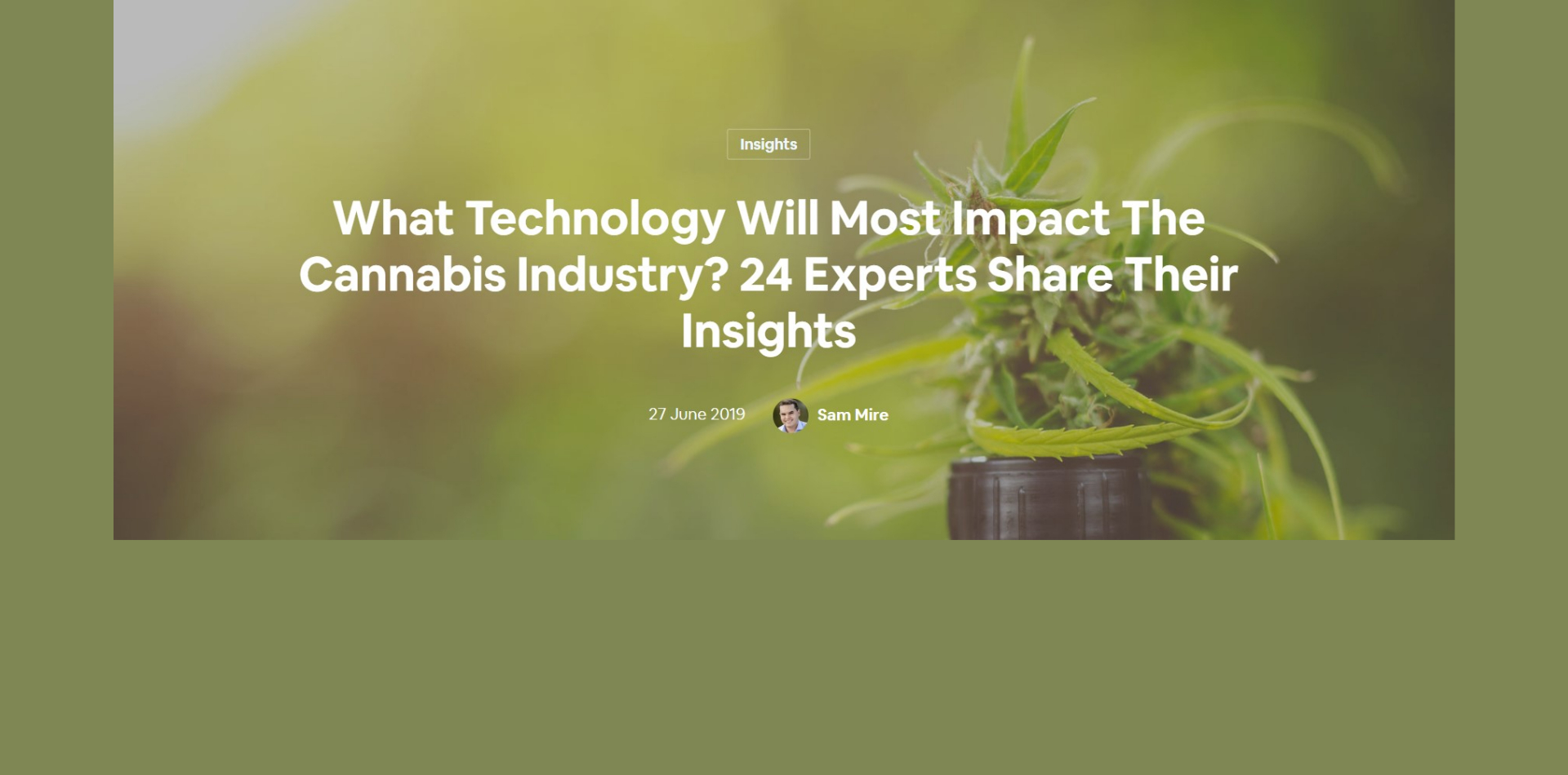 Welche Technologie wird die Cannabisindustrie am meisten beeinflussen? 24 Experten teilen ihre Einsichten