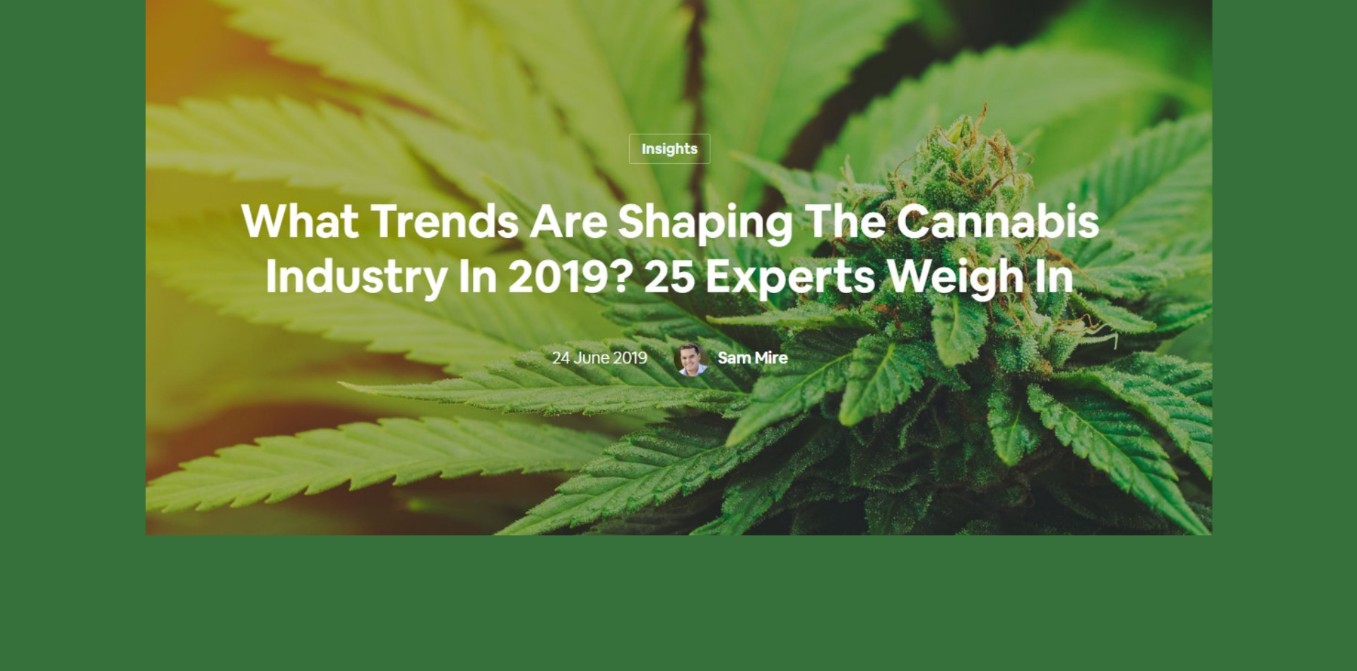 Welche Trends prägen die Cannabisbranche im Jahr 2019? 25 Experten äußern sich