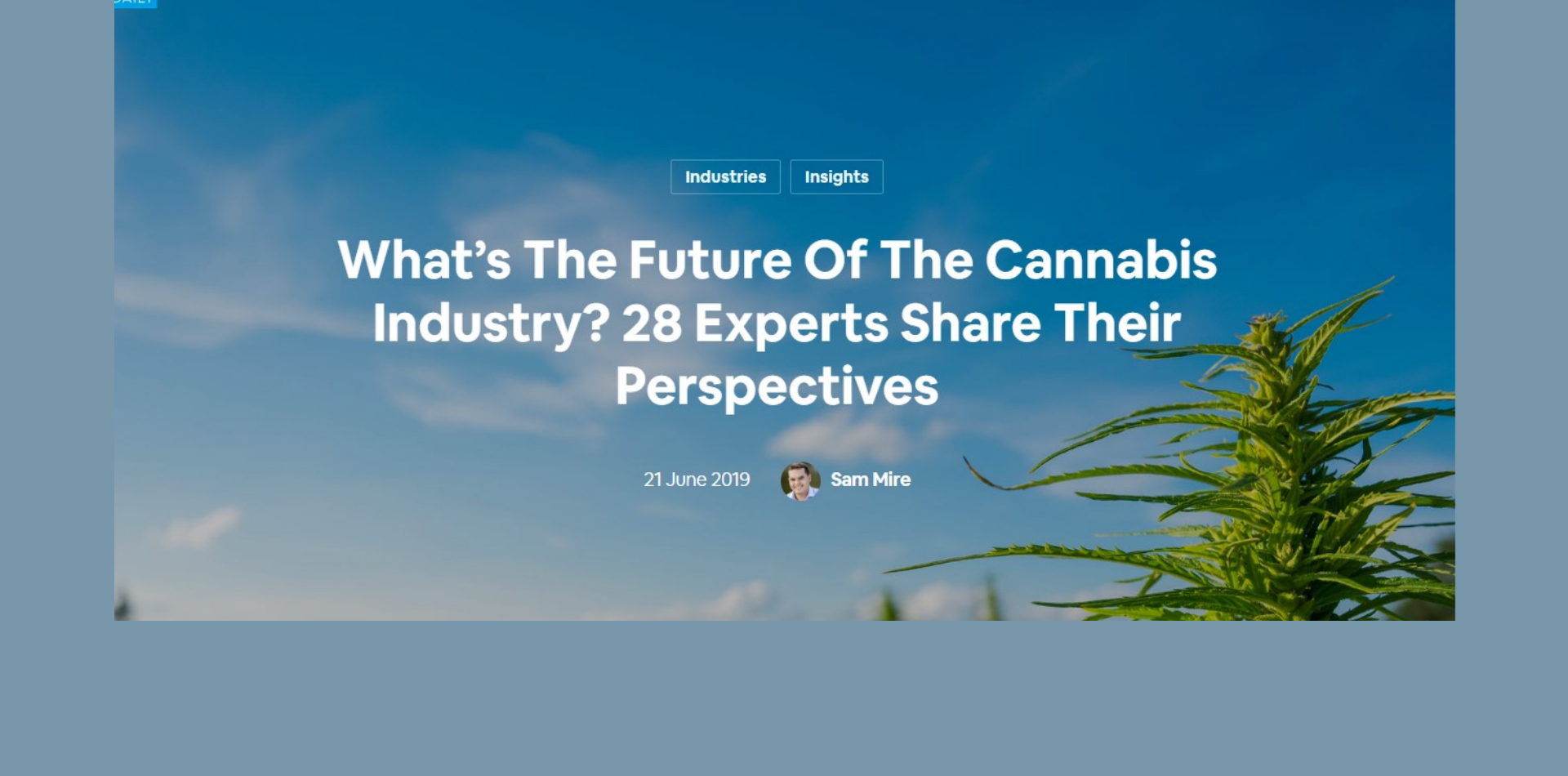 Was ist die Zukunft der Cannabisindustrie? 28 Experten teilen ihre Sichtweise