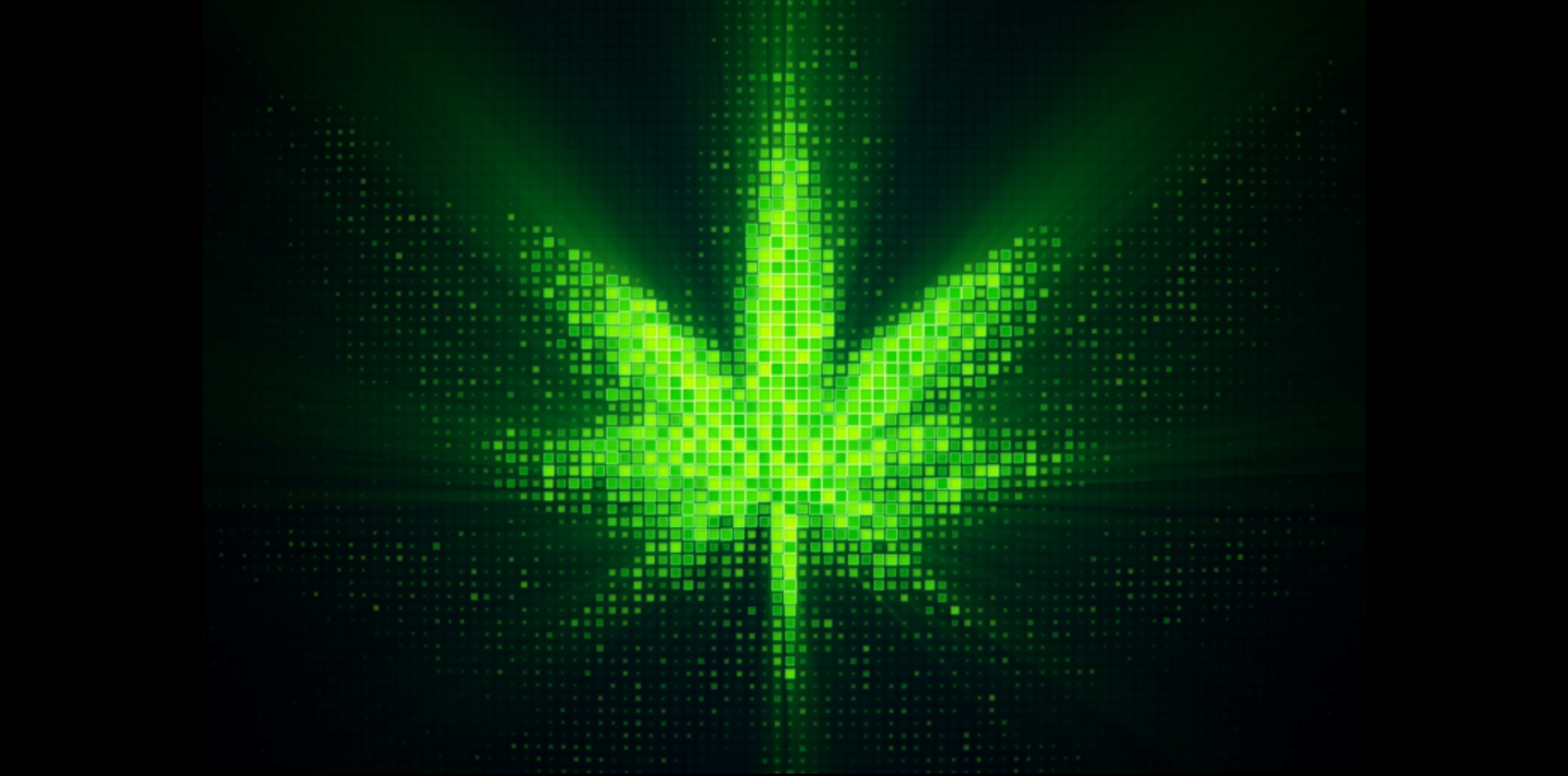 Automatisierung ist die Zukunft von Cannabis
