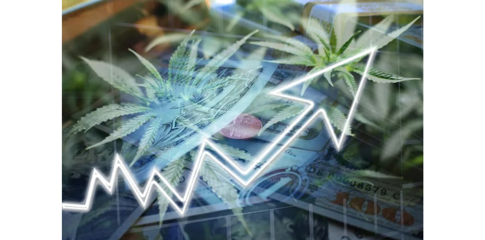 Großbritannien wird von 2020 bis 2025 das größte Wachstum des medizinischen Cannabismarktes in Europa verzeichnen
