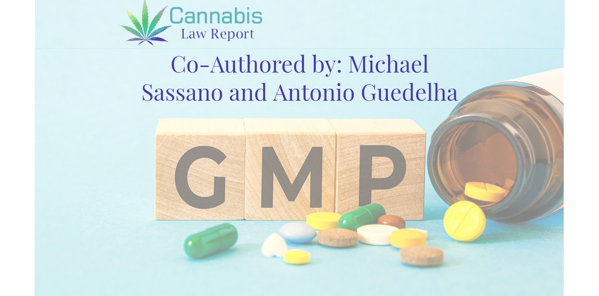Michael Sassano &amp; Antonio Guedelha: GMP Nr. 17: GMP-Marktprognose und Budgetmanagement