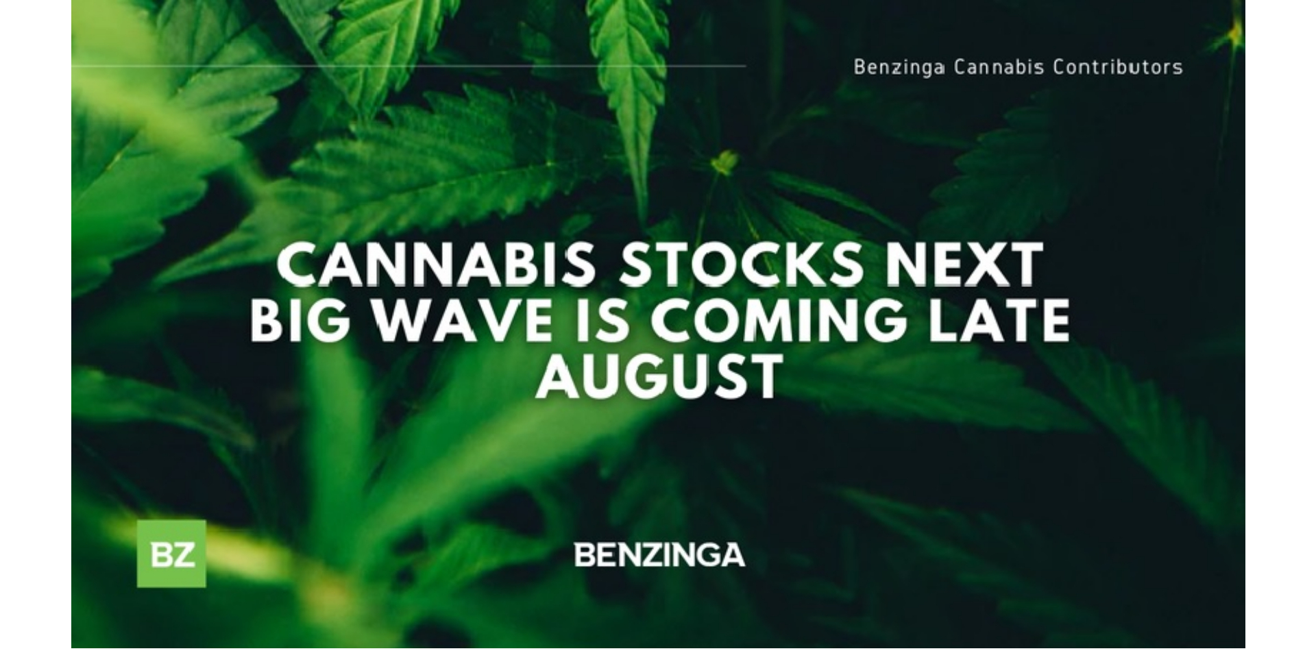 Die nächste große Welle der Cannabis-Aktien kommt Ende August