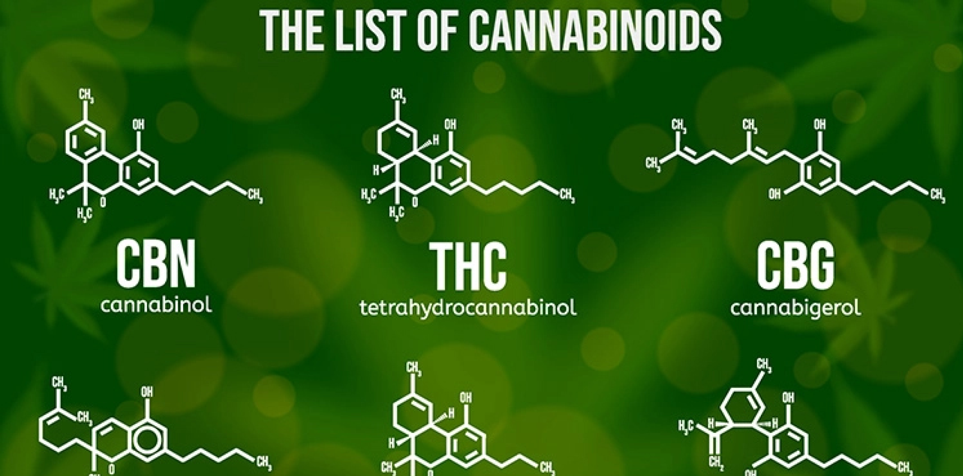 Argumente für eine verbesserte Absorption von Cannabinoiden durch Ethosome