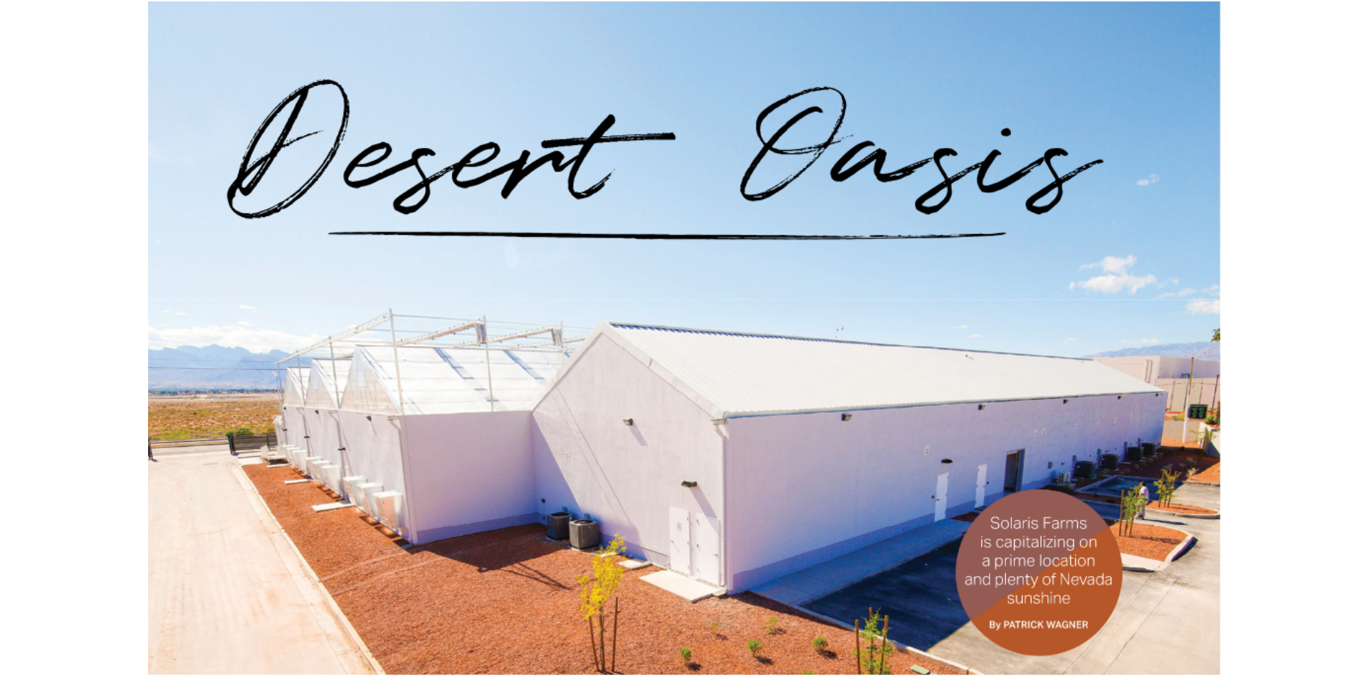 Desert Oasis | Solaris Farms profitiert von einer erstklassigen Lage und viel Sonne in Nevada (Seite 58-61 der Novemberausgabe)