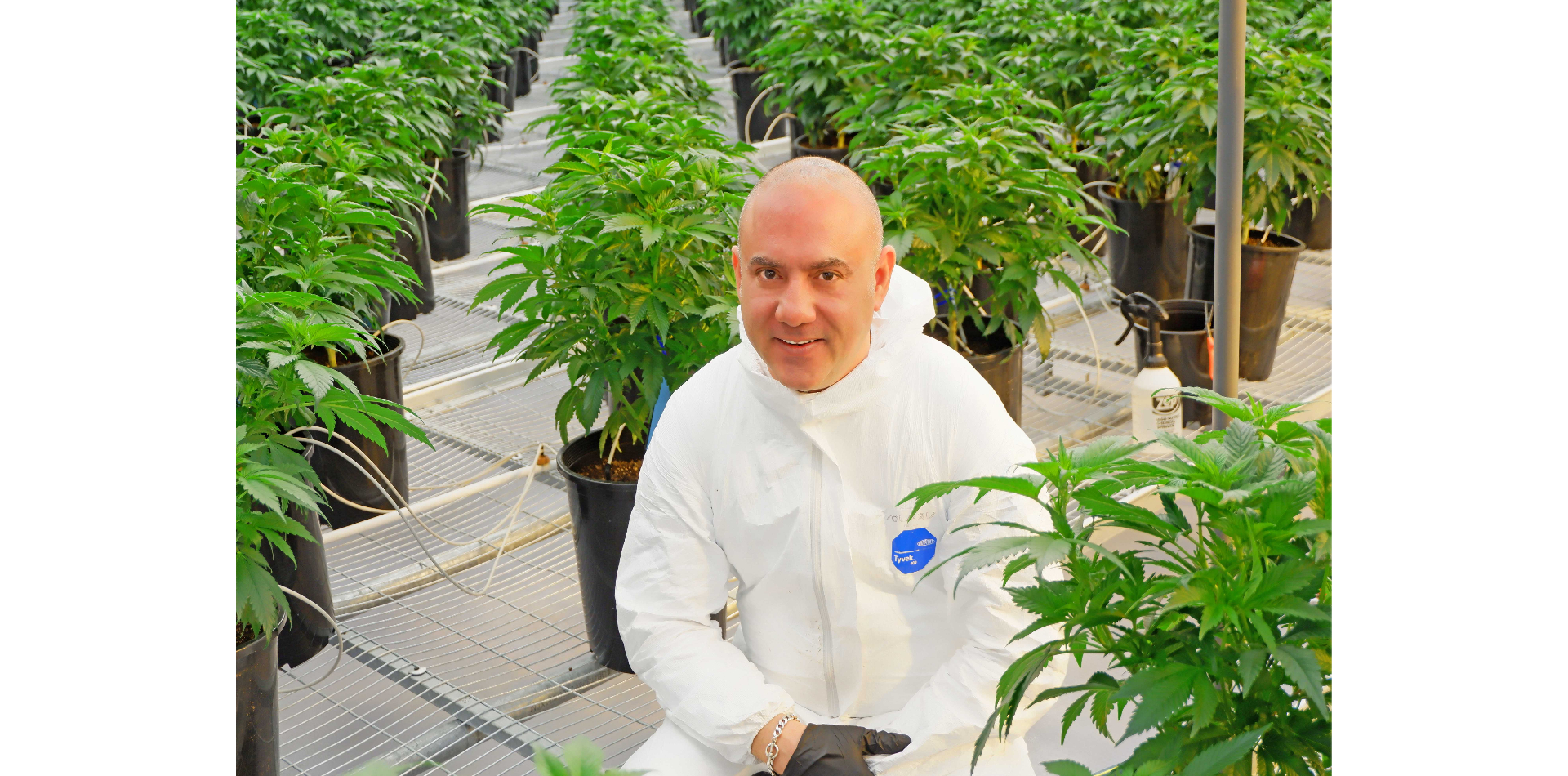 Michael Sassano: der Mann, der US-Cannabis-Know-how nach Europa bringt