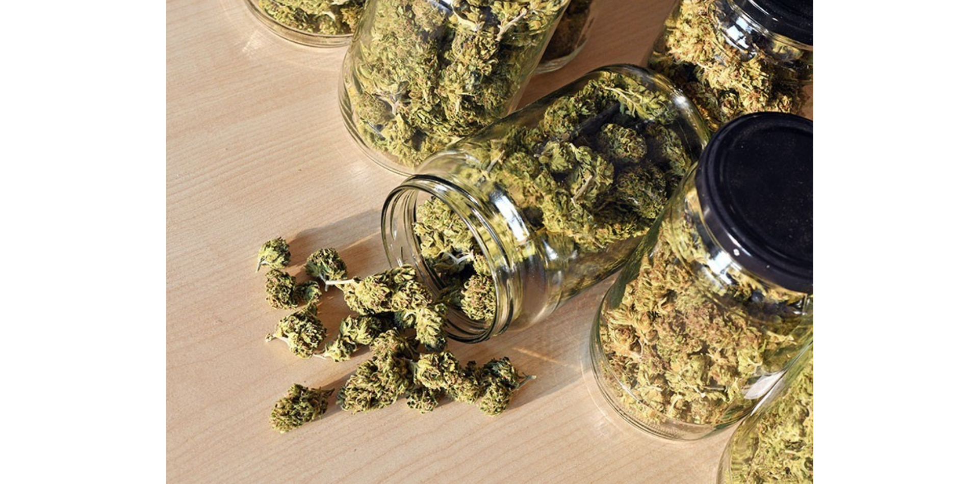 Die Öffnung des Potts: Die Cannabisindustrie in Las Vegas bewegt sich inmitten der COVID vorwärts