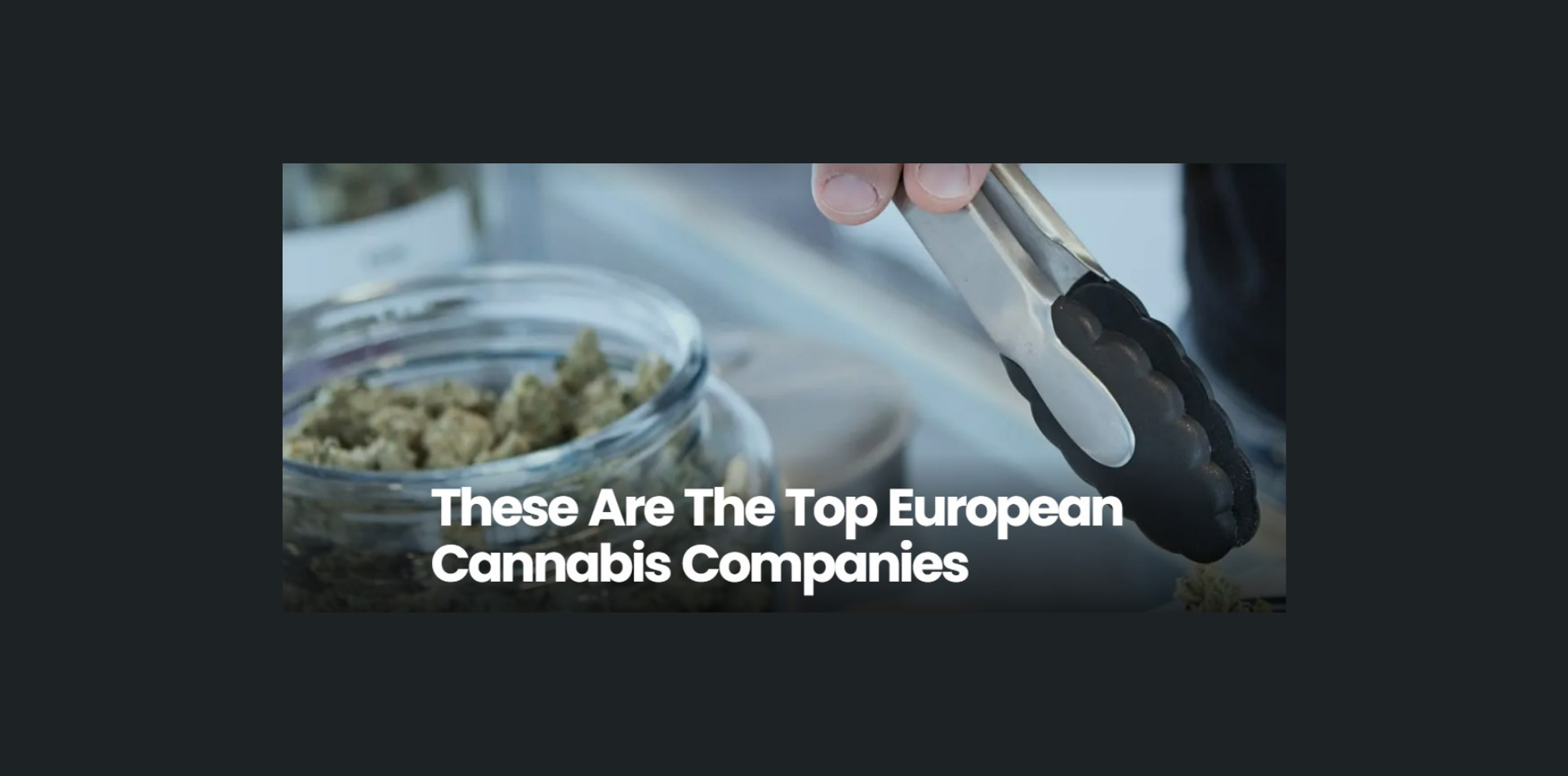 Das sind die führenden europäischen Cannabisunternehmen