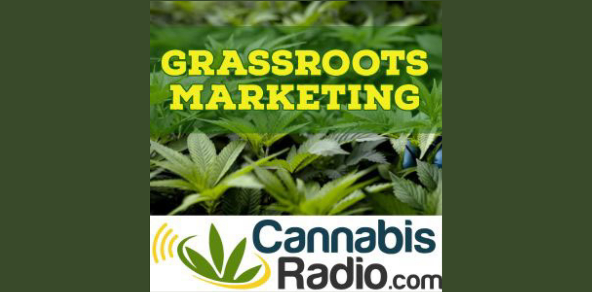 Pharmazeutisches Cannabis und der Einfluss von Big Pharma - Grassroots Marketing