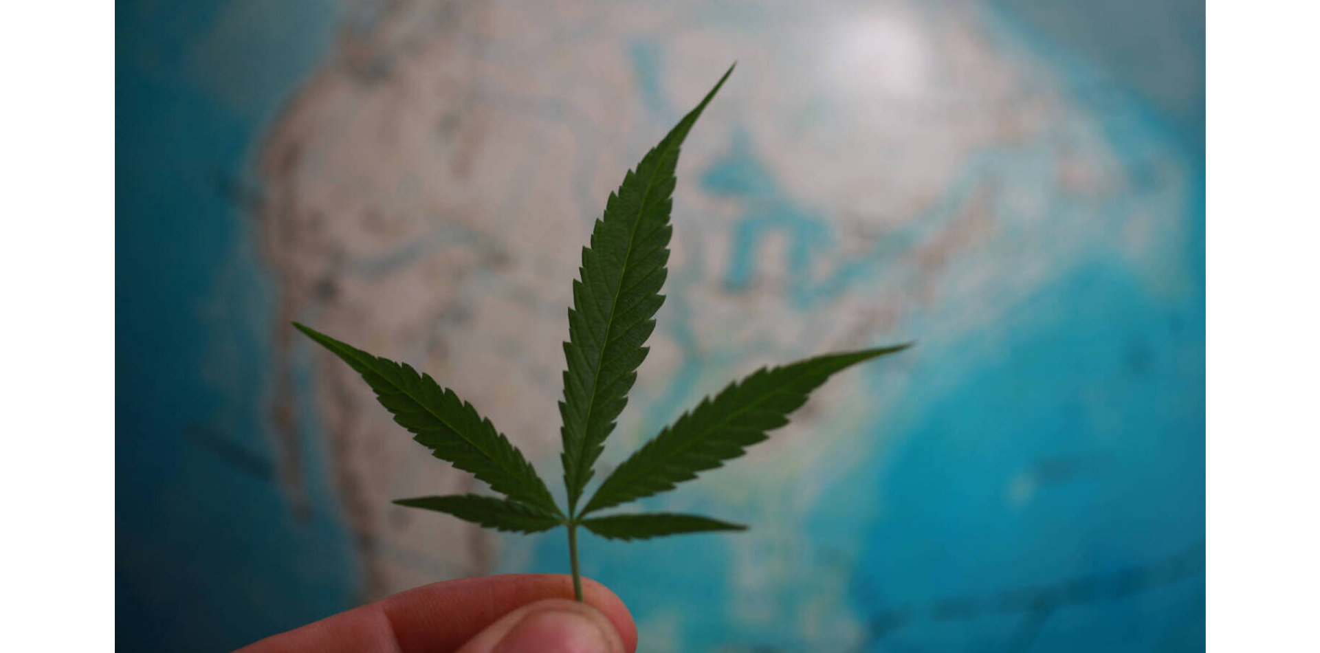 Internationale Cannabisreform kommt in Europa und Südamerika in Gang
