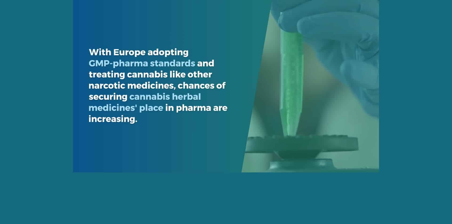 Europe’s booming cannabis industry