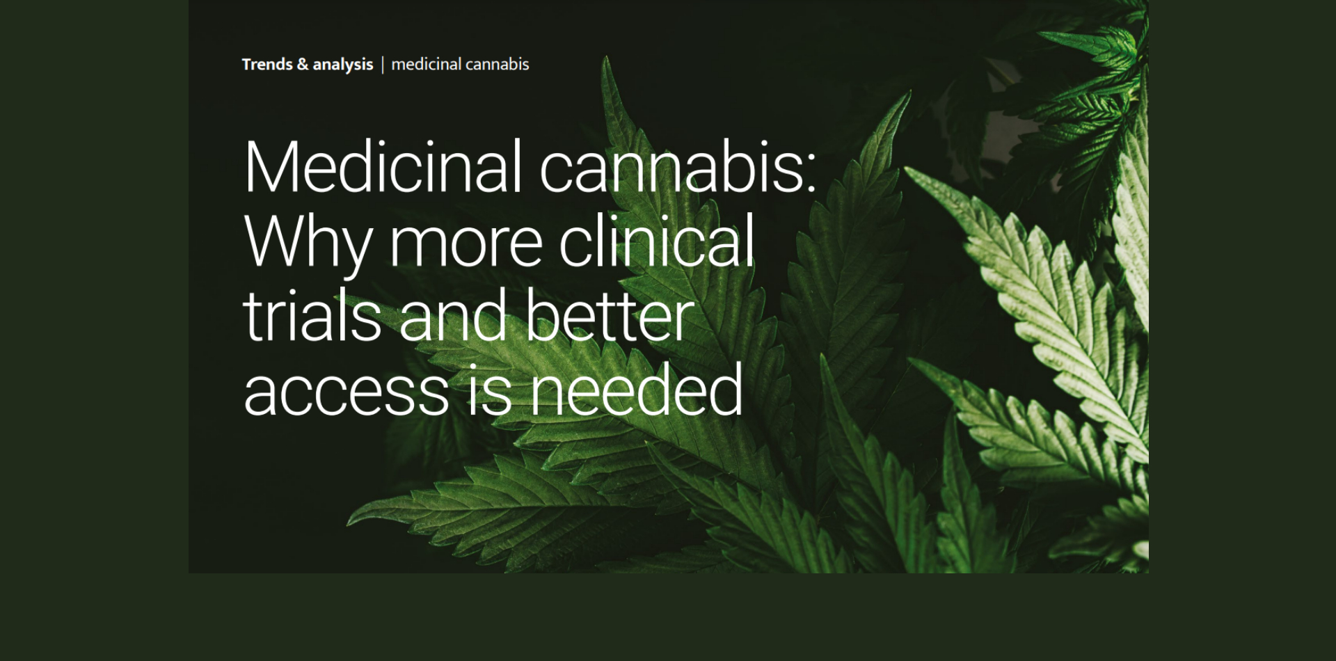 Medizinisches Cannabis: Warum mehr klinische Studien und ein besserer Zugang notwendig sind