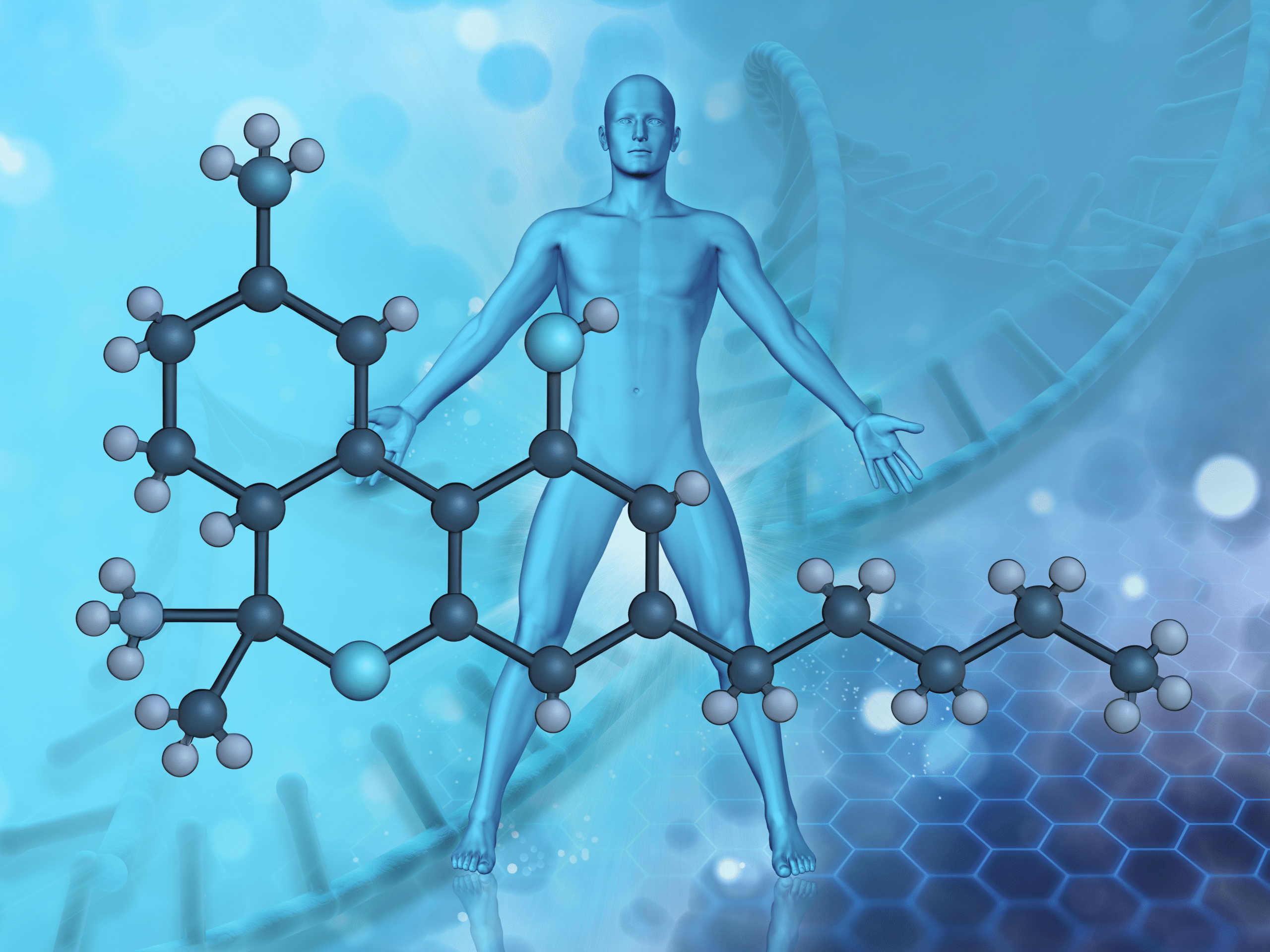 THC entmystifizieren: Wie Tetrahydrocannabinol im Körper wirkt