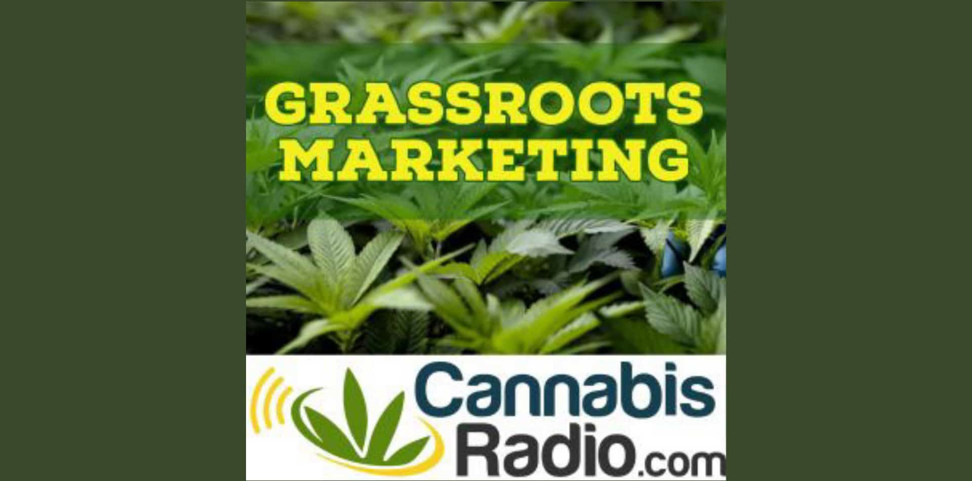 Glassroots Marketing Podcast: Pharmazeutisches Cannabis und der Einfluss von Big Pharma